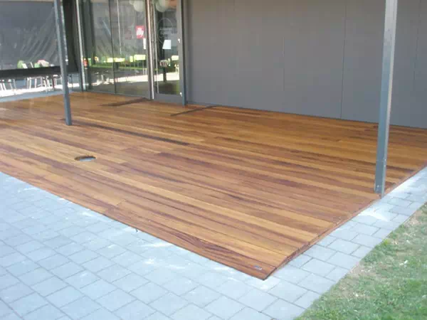 ​​Spanish Iroko